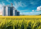 Produção agroindustrial volta a crescer após três meses de retração