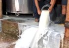 15 curiosidades sobre o leite