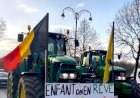 Produtores europeus protestam em Bruxelas contra o Acordo Mercosul – União Europeia