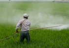 STF mantém regras de isenção fiscal para agrotóxicos