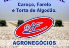 Algodão: Câmbio e postura dos vendedores sustentam cotações