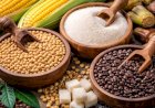 Commodities entram em 2026 sob pressão de clima, política e guerra comercial
