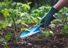 Brasil registra recorde histórico de bioinsumos em balanço de agrotóxicos de 2025