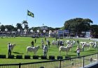 Uberaba volta a inaugurar o calendário pecuário: estão abertas as inscrições para a Expoinel Minas 2026