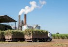 Etanol ganha espaço como investimento com demanda global aquecida