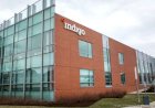 Indigo vende 2,85 milhões de créditos de carbono à Microsoft em contrato de 12 anos