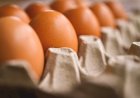 Ovos: alta de preços chega a 60% na semana