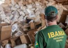 Falsificação de insumos agrícolas: indícios, riscos e como se proteger na compra
