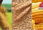Veja aqui Cotações mista do Agro