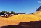 Cotações Agropecuárias