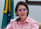 Crédito rural: TCU avalia investigação sobre venda casada em financiamentos ao produtor