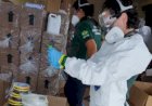 Operação apreende mais de 17 toneladas de insumos agrícolas irregulares em Minas Gerais