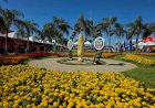 Com mais de 61 mil visitantes, Show Rural quebra recorde histórico e dita o rumo da safra 26