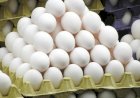 O recorde das exportações dos ovos e o efeito dominó no prato do brasileiro