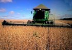 Goiás anuncia fim da taxa do agro