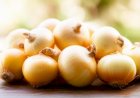 Safra de cebola do Paraná encerra com queda na produção