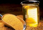 Biodiesel ganha nova força no Brasil com aliança entre Abiove e Aprobio