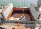Entrega de fertilizantes chega a 49,11 milhões de toneladas