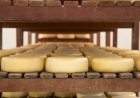 Entenda por que o setor de queijo vive uma nova onda de aquisições no Brasil