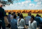 Genética Brangus do Brasil atrai criadores de 11 países