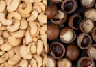 Brasil amplia mercados para o agro na Turquia e Singapura