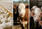 Veja aqui Cotações mista do Agro
