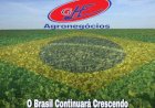 Soja fecha semana em baixa com ajuste nas cotações