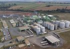 Grupo Potencial anuncia R$ 6 bilhões em agroenergia no PR