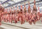 JBS suspende produção por 20 dias em duas unidades no Brasil após alta no preço do gado