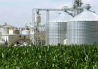 Inpasa acelera expansão e projeta 10 biorrefinarias de milho até 2027