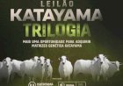 LEILÃO KATAYAMA TRILOGIA