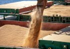 Demanda por soja segue no foco do mercado