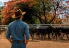 Projeto voltado à sucessão familiar estreia durante a Megaleite em Minas Gerais