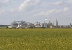 Seguro rural frágil amplia risco para produtores em meio à dívida recorde no campo