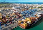 Santa Catarina registra recorde histórico para as exportações de carnes