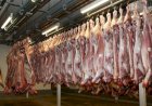 MT atinge receita de US$ 440,7 milhões com exportação de carne bovina em 2026