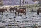 Frente fria, ciclone e ar polar podem marcar a semana mais fria de 2026