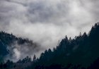 O que muda para soja, milho e trigo na América do Sul com a volta do El Niño?