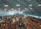 Raças Holandesa e Jersey abrem inscrições de animais para o Agroleite 2026