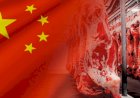 Efeito-China faz preço do boi gordo cair R$ 6/@ em 7 dias em SP