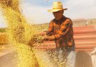 Governo adia exigência de CNPJ para autônomos e produtores rurais até 2027