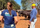 Cargill, IBS e Cooperleite firmam parceria para fortalecer cadeia do leite na Bahia