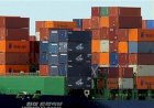Exportações do agro gaúcho sobem; confira os destaques