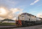 Rota ferroviária de ferro-gusa recebe R$ 130 milhões