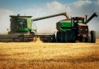 Mercados agrícolas abrem setembro com ajustes