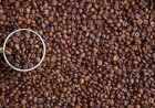 Cotação do Café hoje