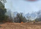 Produtores rurais devem se adequar a novas regras de prevenção a incêndios; entenda as exigências
