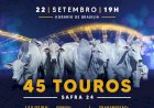 8º LEILÃO MARCA SOL