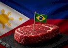 Filipinas vão elevar importação de carne bovina brasileira em 2027, prevê USDA
