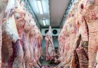 Ações migratórias atingem coração da pecuária dos EUA e ameaçam oferta de carne bovina